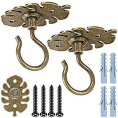 an assortment of hooks and screws on a white background