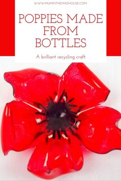 a red flower with the words poppies made from bottles on it's side