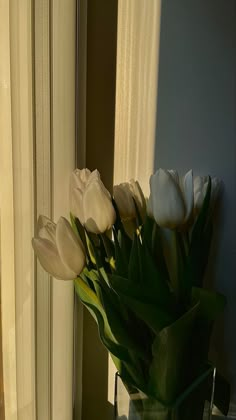 white tulips are in a clear vase on a window sill next to a curtain