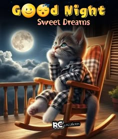 a cat sitting in a rocking chair with the caption good night sweet dreams