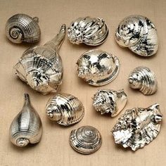 several silver shells are shown on a beige tablecloth, with one shell in the middle