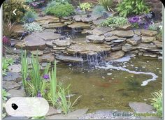 a garden with rocks and water features a pond surrounded by flowers, plants, and fish