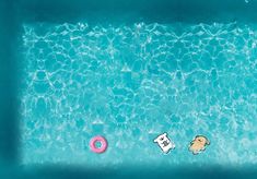 two dogs swimming in a pool with a donut and other items on the floor