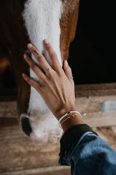 a person petting the nose of a brown and white horse with their hand on it