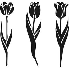 three black and white tulips are shown in four different styles, each with long stems