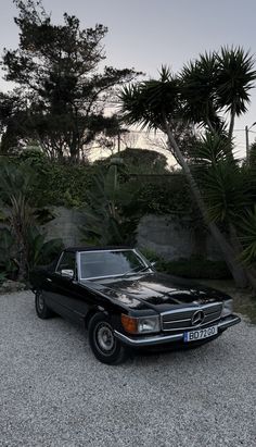 a black mercedes benz coupe parked in front of some trees and bushes with the sun setting behind it