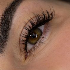 Lost Artistry Premium Volume Eyelash Extensions are perfect for the handmade volume artist who enjoys making their own volume lash fans. Volume lashes come in diameters .10, .07, .05 and .03 in lengths 5-18mm and are great for Hybrid, Volume and Mega Volume lash extension services. Textured: Textured Volume Eyelash Extensions are perfect for the handmade artist who is looking to add wispiness or depth to their volume lash sets. Textured (also known as Camellia) eyelash extensions are much like s Volume Eyelash Extensions Mapping, Light Volume Eyelash Extensions, Lash Extensions Wispy Hybrid, Subtle Lashes Extensions, Wispy Fake Lashes, Small Natural Lash Extensions, Wispy Set Lashes, Asian Eyelashes Extensions, Kylie Eyelash Extensions