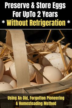 Learn how to store your fresh eggs for 2-years without freezing or refrigeration using this long forgotten method. #homesteading #prepping #SHTF #chickens #selfsufficiency Survival Food Storage, Storing Eggs, Emergency Preparation, Egg Storage, Survival Techniques, Prepper Survival, Farm Fresh Eggs