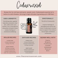 Cardamom Oil Benefits, Cardamom Oil Blends, Cardamom Essential Oil Diffuser Blends, Cardamom Essential Oil Blends, Cardamom Diffuser Blends, Cedarwood Essential Oil Uses, Benefits Of Cardamom, Cardamom Oil, Cardamom Essential Oil