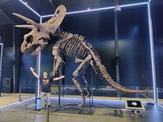 a man standing next to a dinosaur skeleton