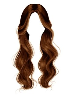 a drawing of a long brown hair