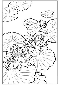 a black and white drawing of water lilies