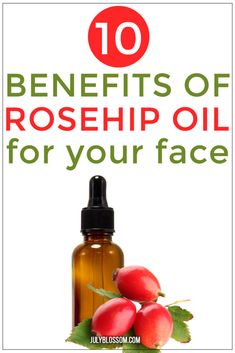 Discover the benefits of rosehip oil for face and how to use in this post. Rosehip Oil Recipes, Rosehip Seed Oil Benefits, Rosehip Oil For Face, Rosehip Oil For Skin, Carrier Oils For Skin, Oils For Scars, Healing Abilities, Oil For Skin