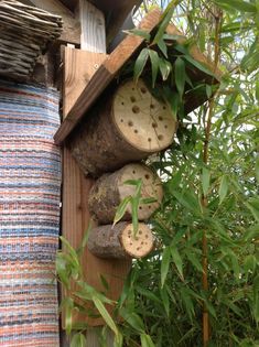 a close up of a bird house on a tree