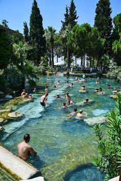 many people are swimming in the water near trees