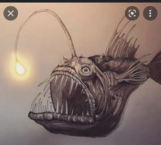 a drawing of a fish with its mouth open and light shining in the distance behind it