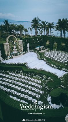 an outdoor ceremony setup with white chairs and palm trees