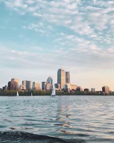 sailboats on the water in front of a city skyline