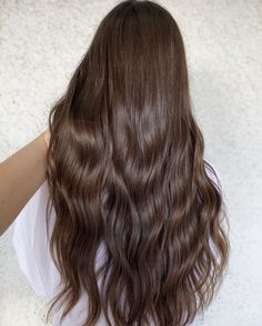 Solid Color Brown Hair, Chestnut Chocolate Brown Hair, Normal Brown Hair, Warm Tone Brunette, Golden Chocolate Brown Hair, Almond Brown Hair, Chocolate Mocha Hair Color, Brown Asian Hair