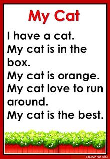 a cat is in the box with words on it