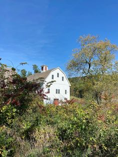 an old white house surrounded by trees and bushes on a sunny day in the country