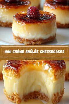 mini creme brulee cheesecakes on a white plate