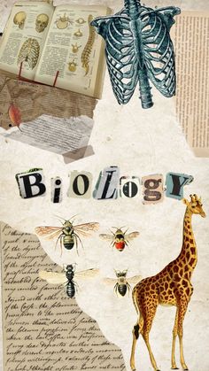 an altered collage with the word biology written in different languages and images of animals