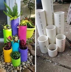 two pictures side by side one with plastic cups and the other with plants in them