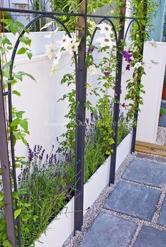 an outdoor garden with white flowers and plants growing on it's sides, next to a fence