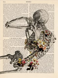 a skeleton with flowers on it's back is shown in an old book page