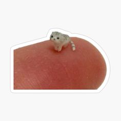 a small white mouse sitting on top of a human's skin sticker,