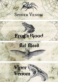 four different types of spider vein labels