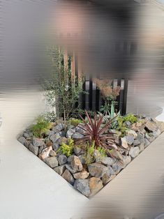 Atami, Dry Garden, Woodland Garden, Front Yard Landscaping Design, Rock Garden, Front Yard Landscaping, Front Yard, Landscape Design, Garden Design