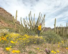 a woman standing in front of a cactus with yellow flowers