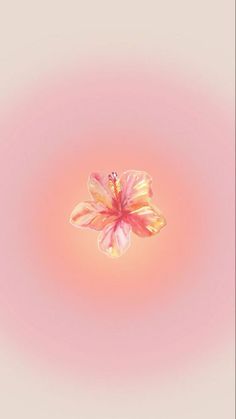 a flower that is floating in the air on a pink and white background with light reflection