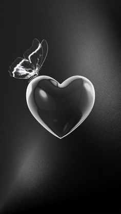 a black and white photo of a heart shaped object with a butterfly flying over it