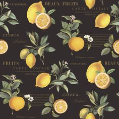 sample citron botanical black yellow wallpaper from the just kitchens collection by galerie wallcoverings 1 Lemon Backdrop, Lemons Painting, Kitchen Entertaining, Dollhouse Rugs, Watercolor Lemon, Kitchen And Dining Area, Lemon Leaves, Botanical Wallpaper, Paper Coaster