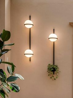 two lights are on the wall next to a potted plant