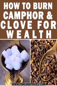 There are some herbs and spices that have the capacity to draw the energies of wealth promoting the flow of money. It is believed that attracting wealth to oneself is a function of energy in feng shui. In this post, we shared how to burn camphor and clove for wealth. Herbs For Wealth And Prosperity, Millionaire Inspiration, Feng Shui Good Luck, Affirmations Success, Feng Shui Wealth, Money Spells That Work, Second Brain, Good Luck Spells, Attracting Wealth