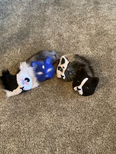 two cats are playing with each other on the floor in front of a stuffed animal