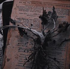 an old book with roots on top of it