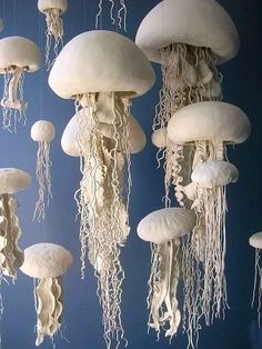 there are many jellyfish hanging from the ceiling