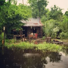 an old log cabin sits on the edge of a lake surrounded by trees and vegetation