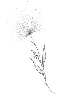 a black and white drawing of a dandelion