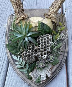 an arrangement of plants and other things in a heart shaped dish on a wooden table