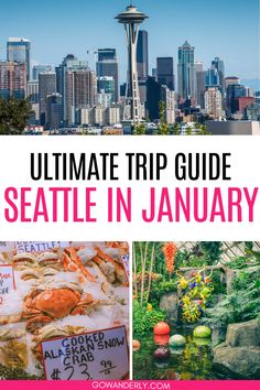 14 must-do activities in Seattle during January, perfect for your winter visit to the Emerald City. Seattle In December, Seattle Winter, Tinted Glasses