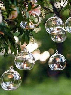 several clear glass ornaments hanging from a tree with greenery in the backgroud