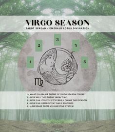 the cover art for virgo seson's album