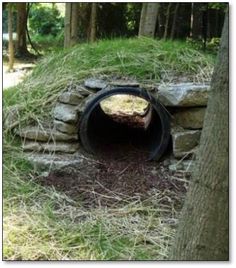 a hole in the ground that is made out of rocks and grass next to a tree