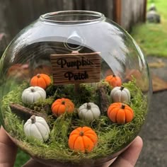 a hand holding a glass bowl filled with miniature pumpkins and moss on the outside